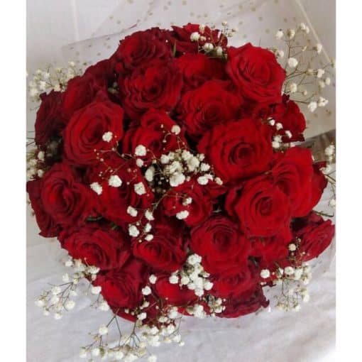 40 red roses full front view